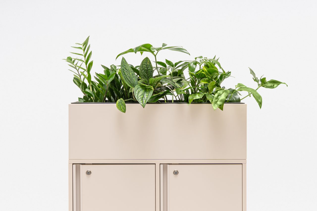 Locker Plus